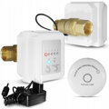 Detektor RX WWG
