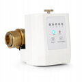 RX WWG shut-off of valve 1