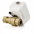 RX WWG shut-off of valve 1